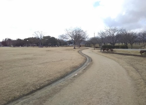 七瀬公園ｒ3.1.152.jpg